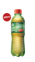 GUARANA-300ml-SARANDI-FLAT-copy